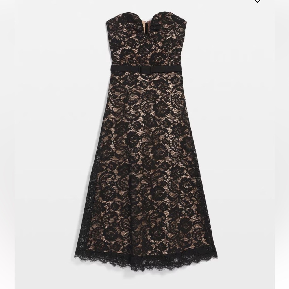 $300 WHBM strapless lBlack Lace A-Line midi  Dress with Nude Lining size 2 NWT